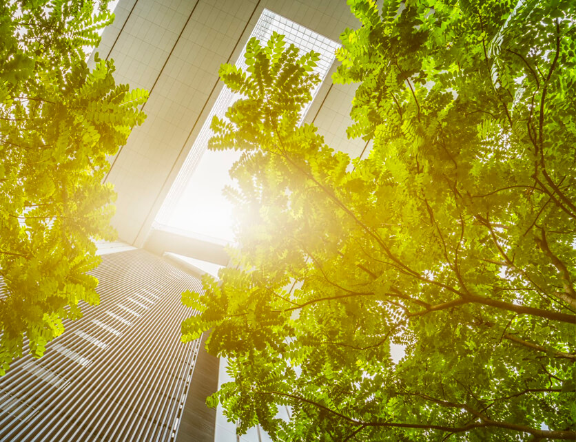 Upward view of a tall building with sunlight filtering through green tree leaves in the foreground.