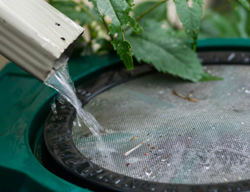 Water flowing from a pipe into a green container with a mesh filter, with leaves in the background.